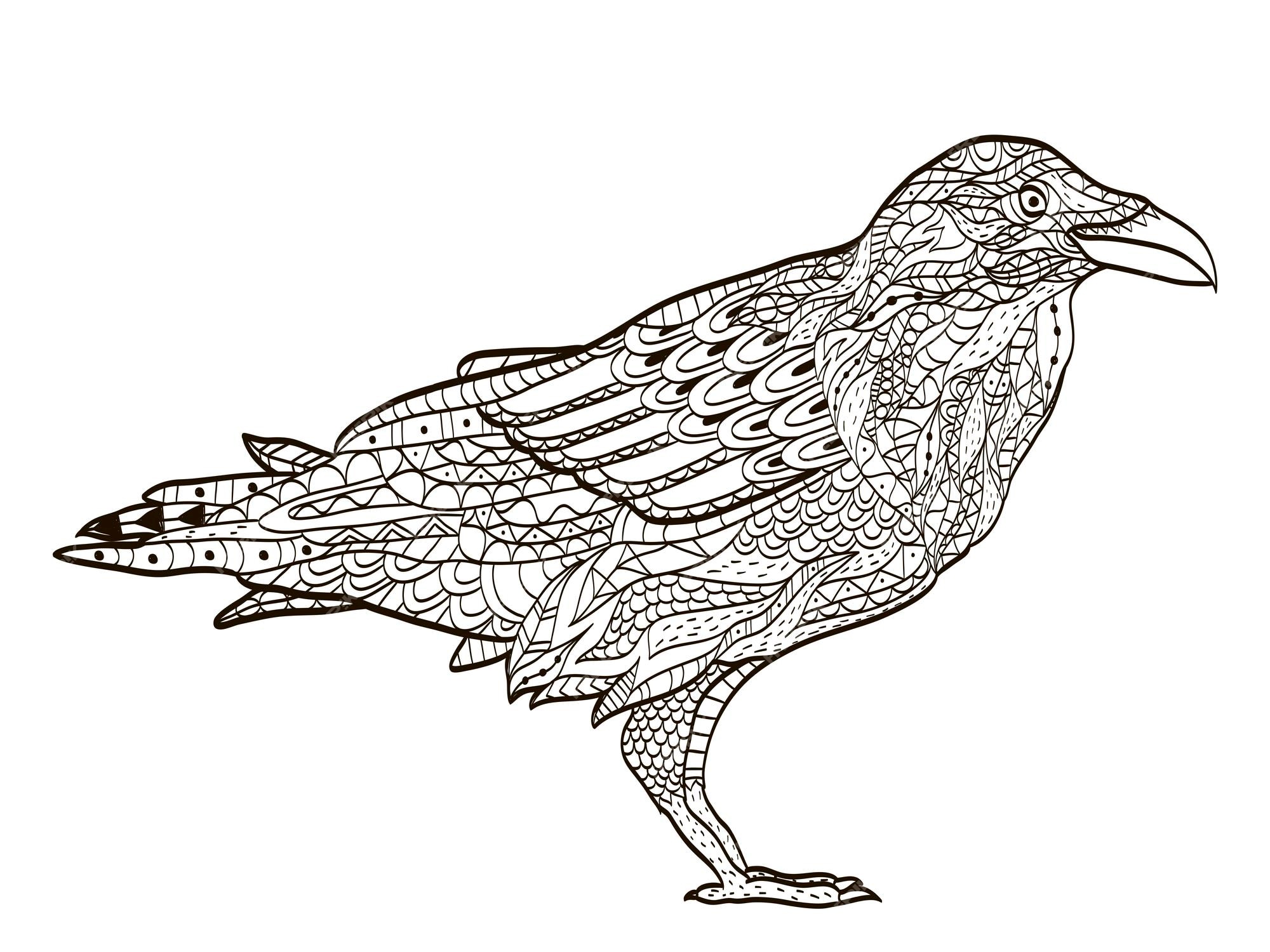 Premium vector bird raven coloring book for adults vector