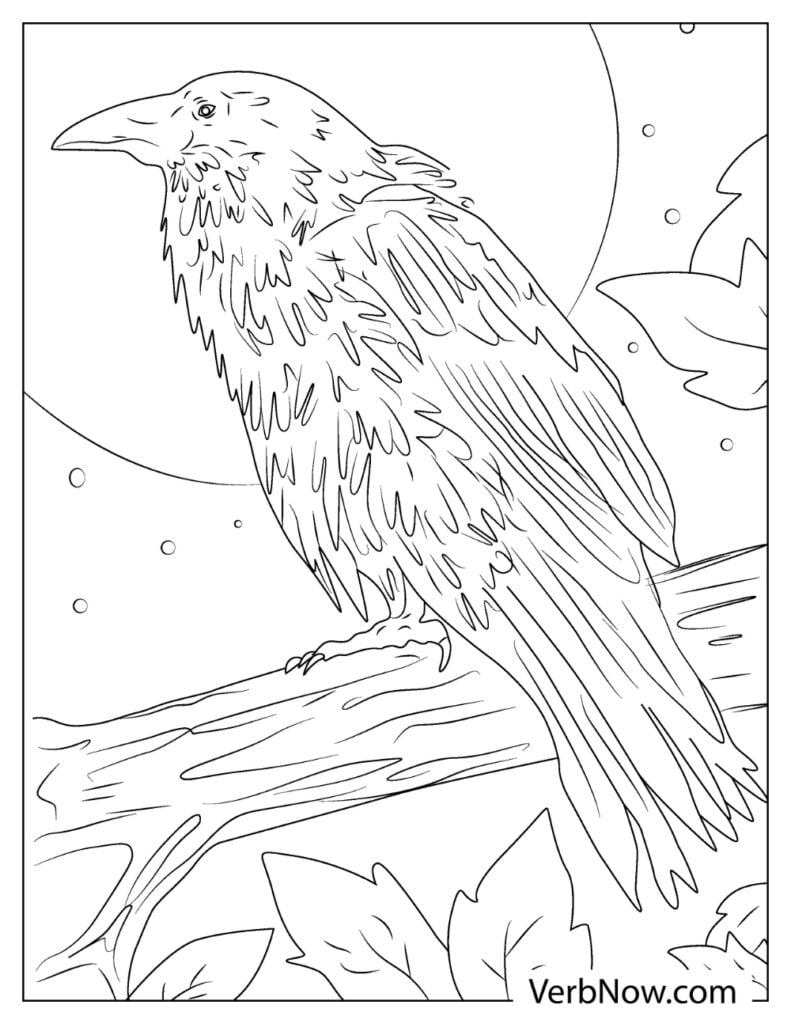 Free raven coloring pages book for download printable pdf