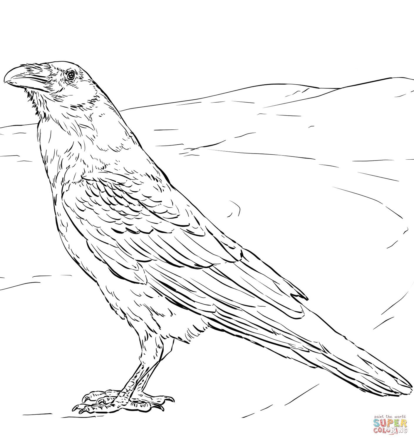 Raven coloring page free printable coloring pages