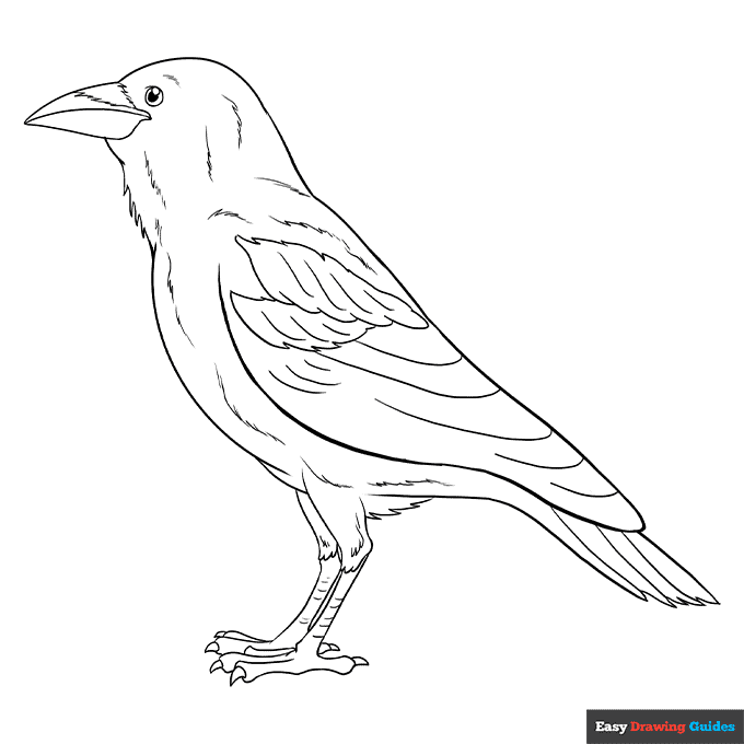 Free printable bird coloring pages for kids