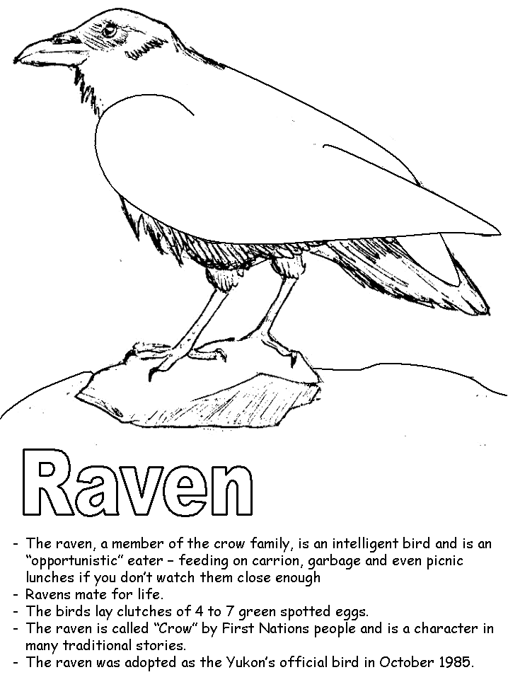 Raven coloring page