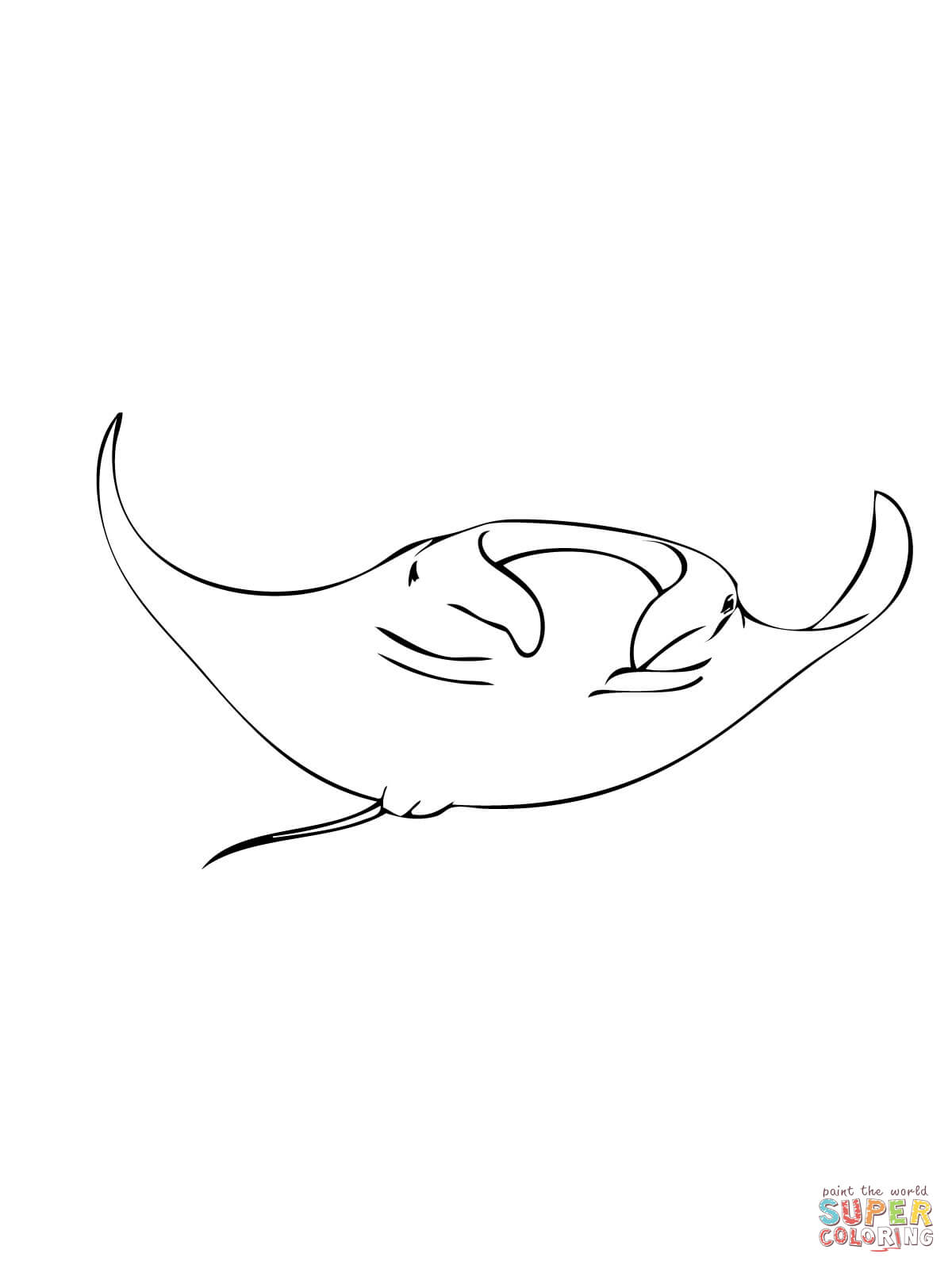 Manta ray coloring page free printable coloring pages