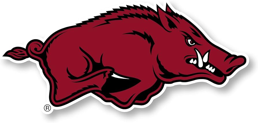 Arkansas razorbacks sports team jumbo mascot vinyl decal sticker officially licensed collegiate product sports outdoors