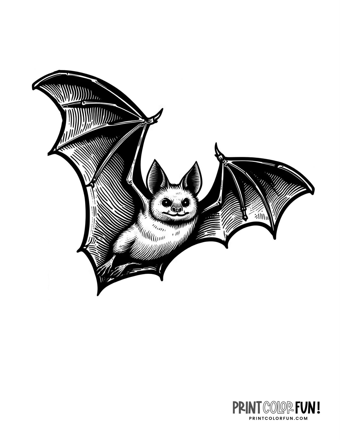 Bat coloring pages crafts more for halloween learning fun at