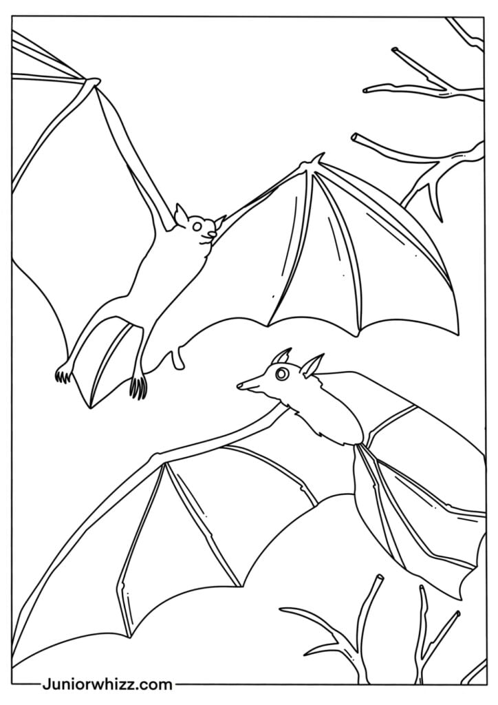 Bat coloring pages with book printable pdfs