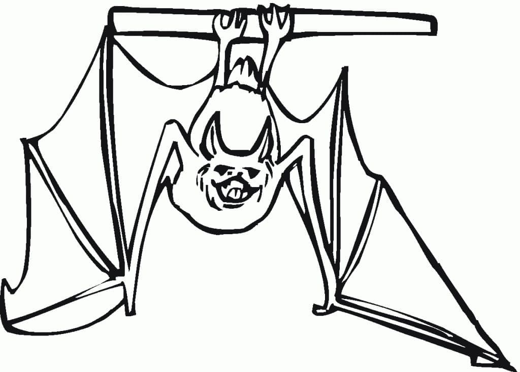 Free printable bat coloring page