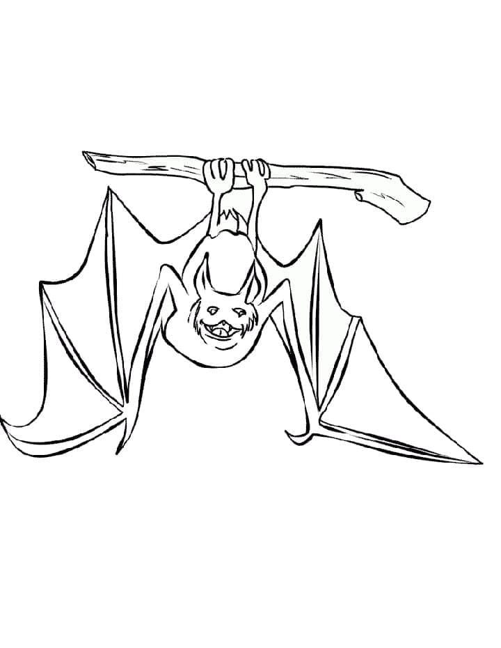 Hanging bat coloring page