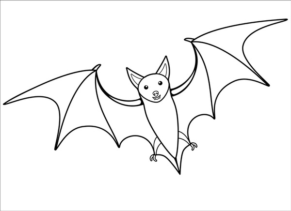 Bat outline picture royalty