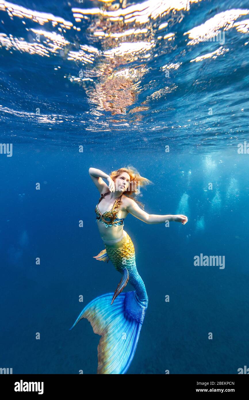 Cpbekpcnmermaid