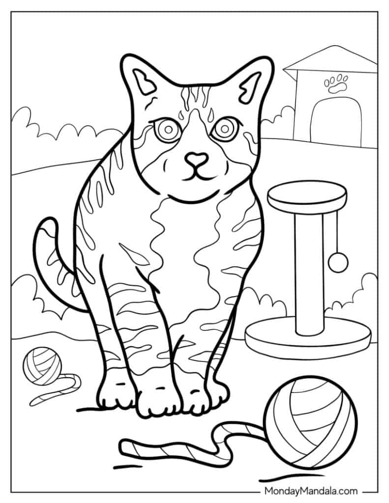 Cat coloring pages free pdf printables