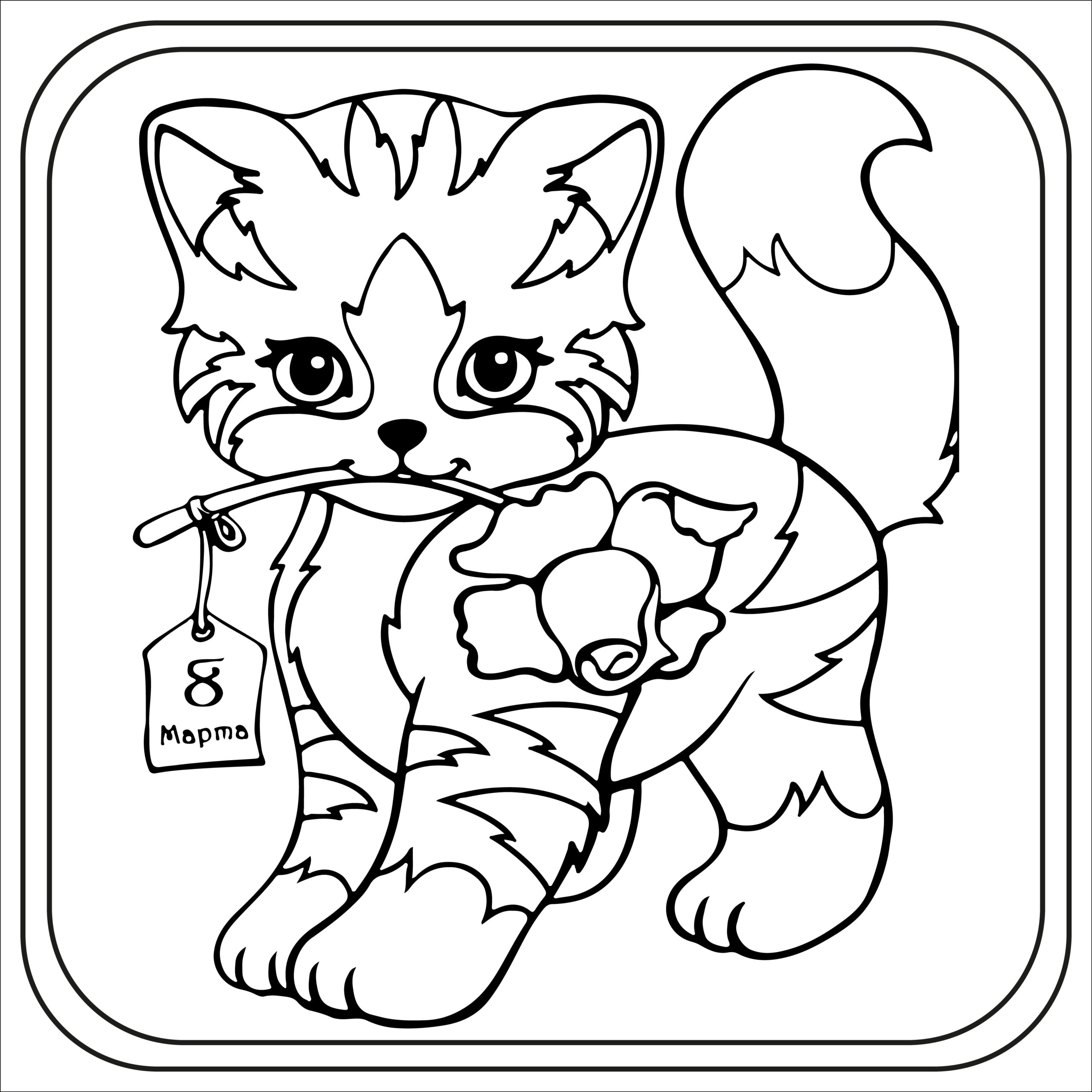 Cat coloring pages preschool kindergarten first grade made by teachers