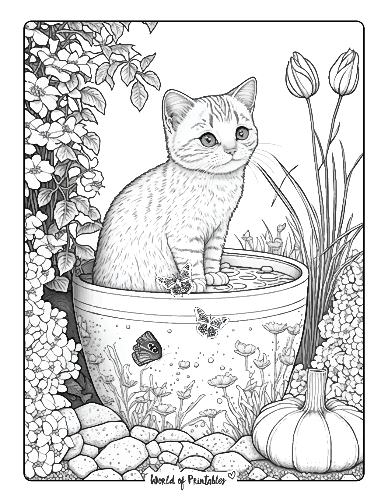 Cat coloring pages for kids adults