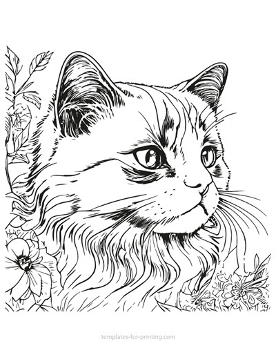 Coloring pages cats â templates