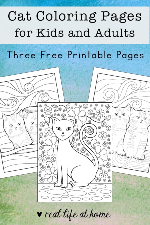 Cat coloring pages for kids and adults free printables