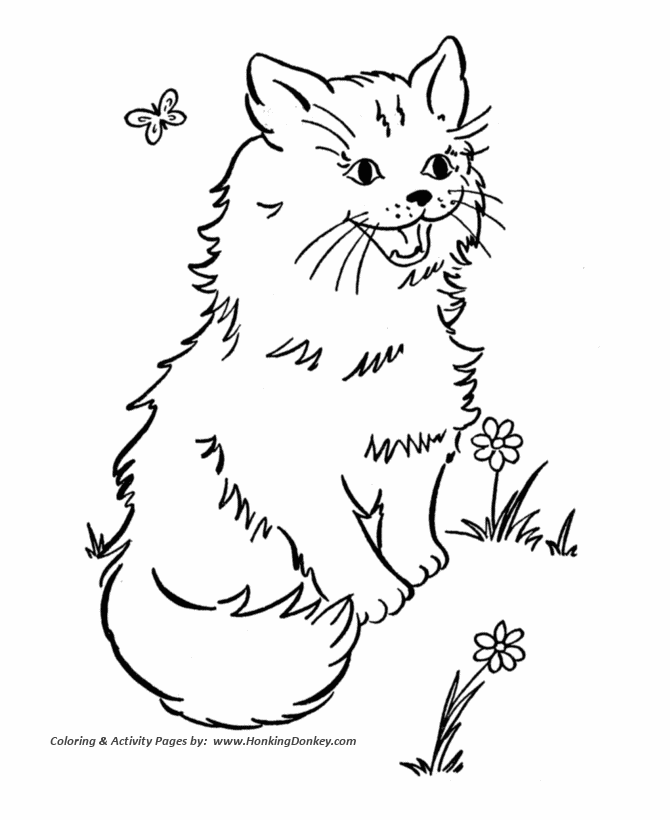 Cat coloring pages printable cat and butterfly coloring page