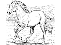 Horses coloring pages and printable activities