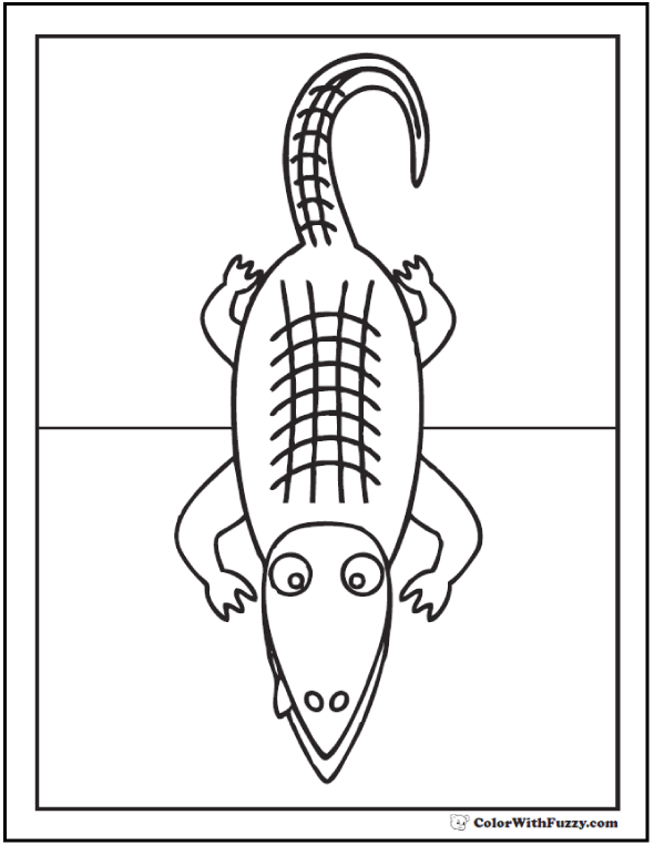 Alligator coloring pages print and customize