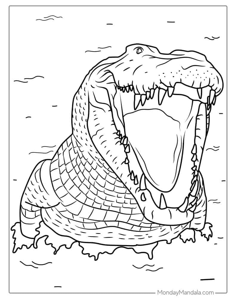 Crocodile coloring pages free pdf printables