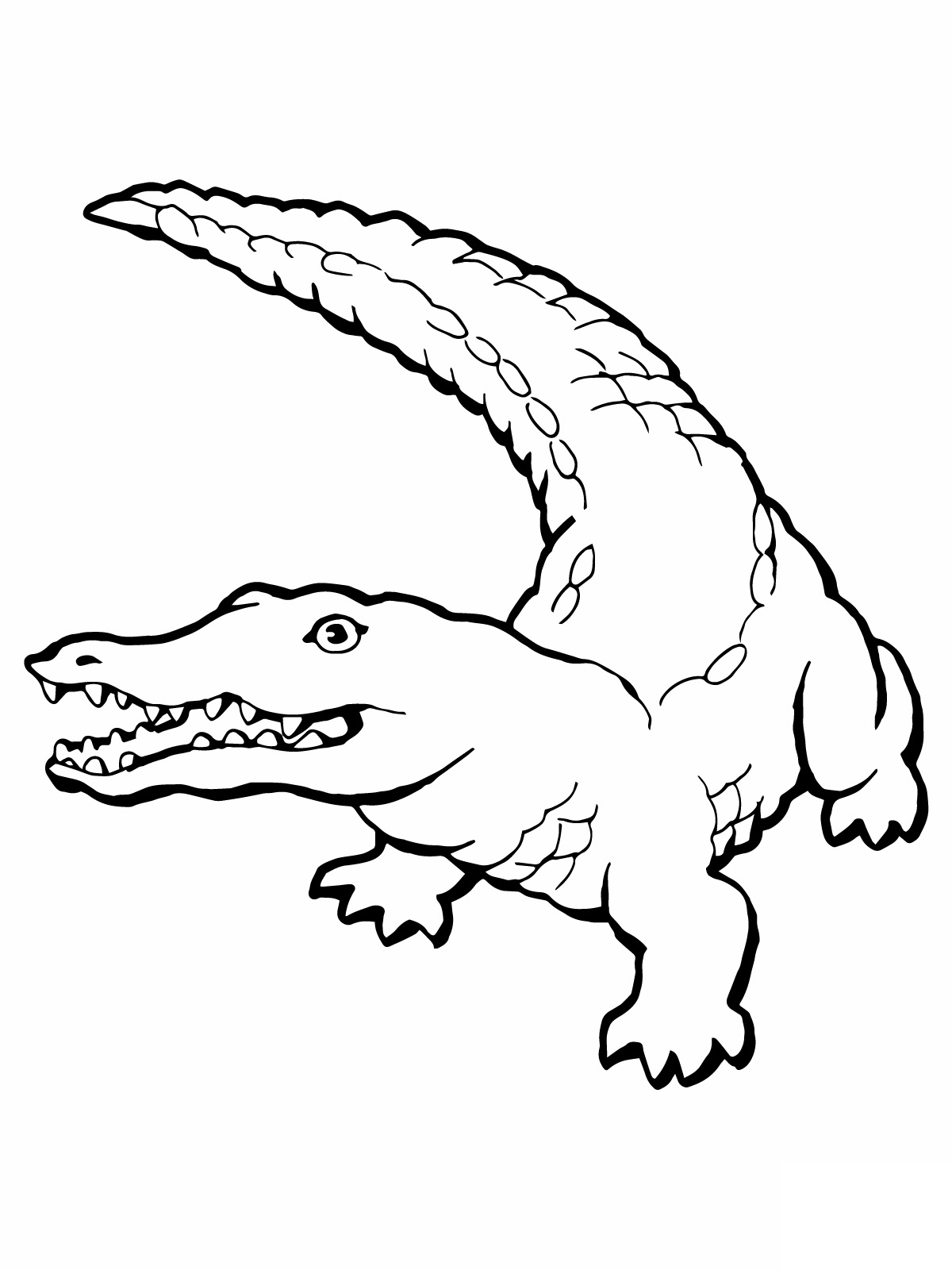 Free printable crocodile coloring pages for kids