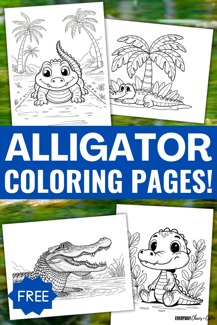 Alligator coloring pages for kids