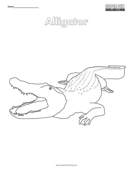 Alligator coloring page