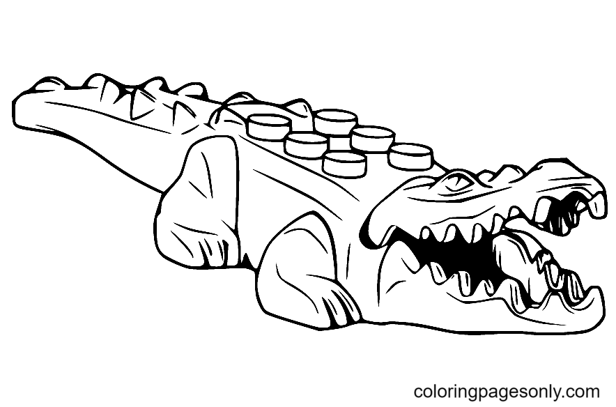 Alligator coloring pages