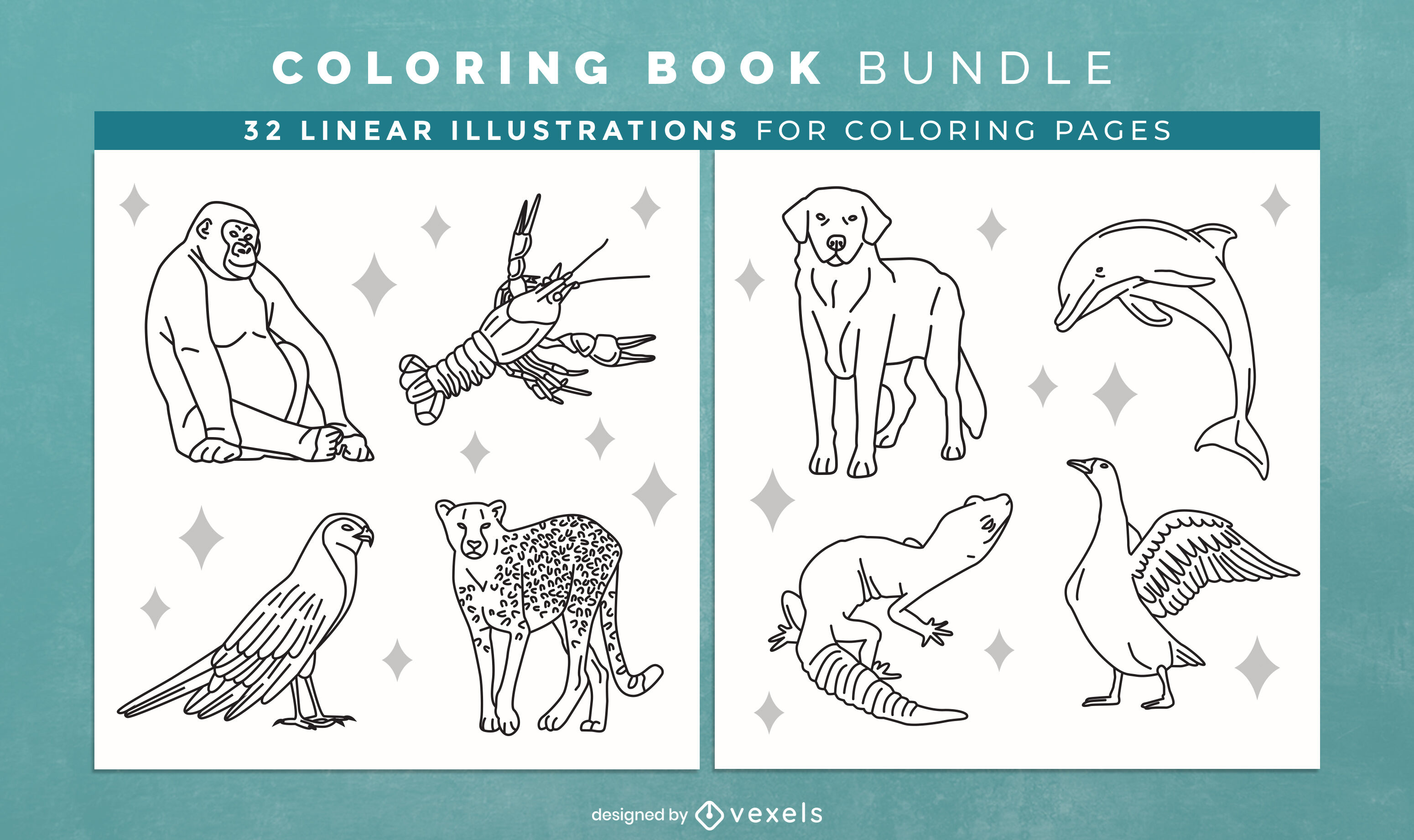 Realistic animals coloring book design pages vector download