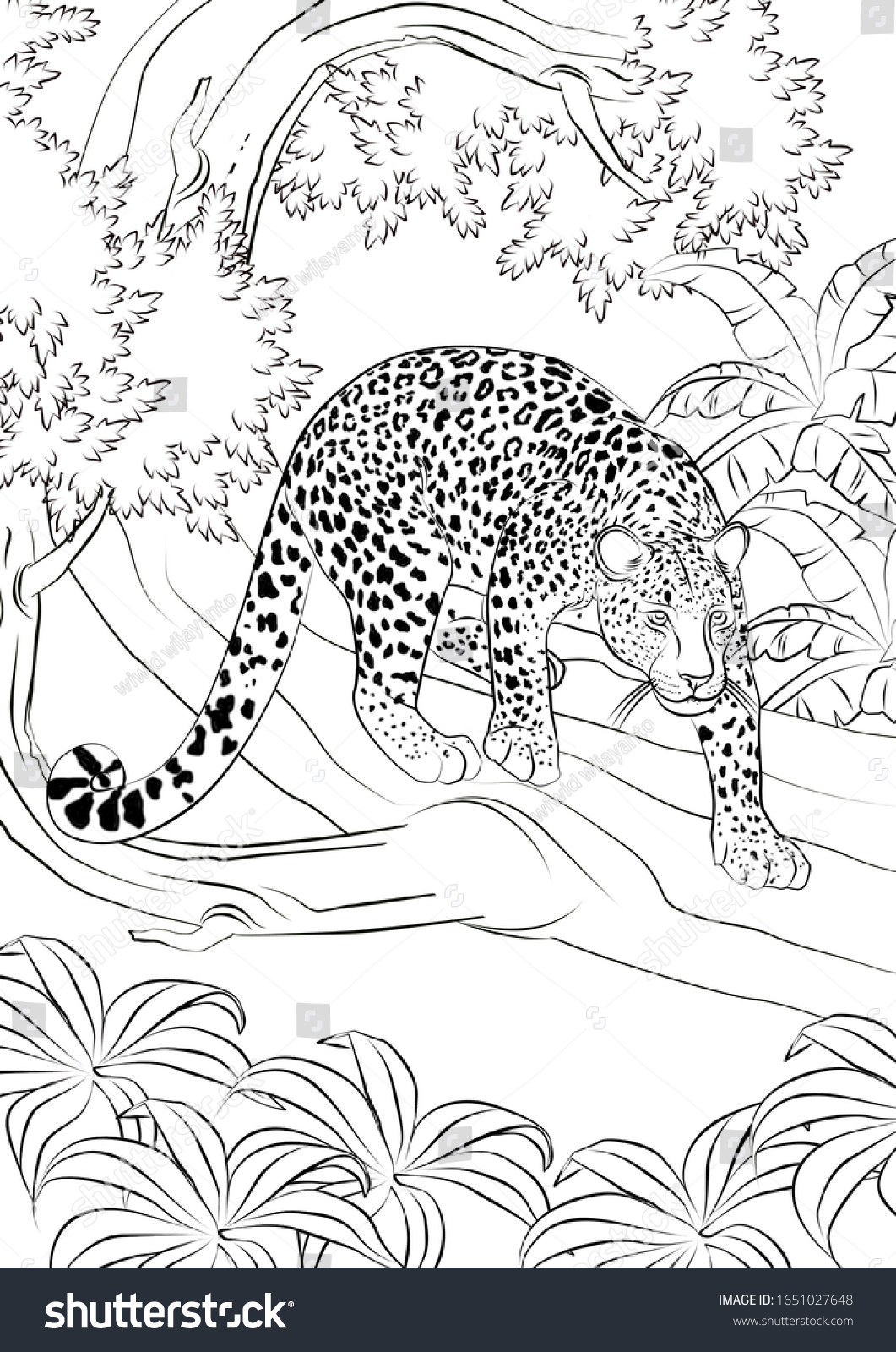 Hakuun leopard realistic animal coloring pages liittyvã kuvituskuva