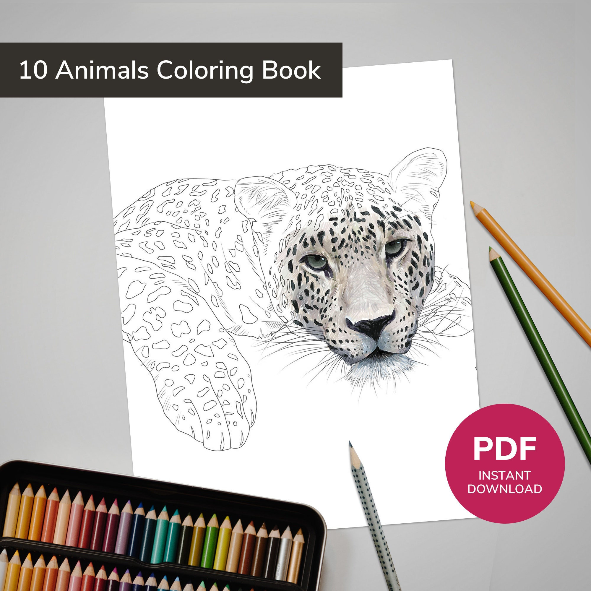 Realistic animal coloring book wildlife coloring pages wild animal coloring illustrations for adult kids and teens instant download instant download