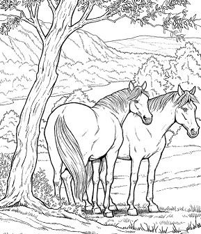 Realistic animal coloring pages printable for free download
