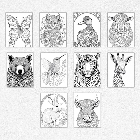 Realistic animals coloring pages printable pdf pages in us letter adult and teens coloring pages for stress relief relaxation