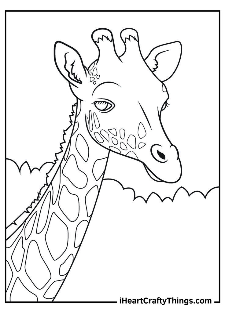 Realistic animal coloring pages animal coloring pages zoo coloring pages zebra coloring pages