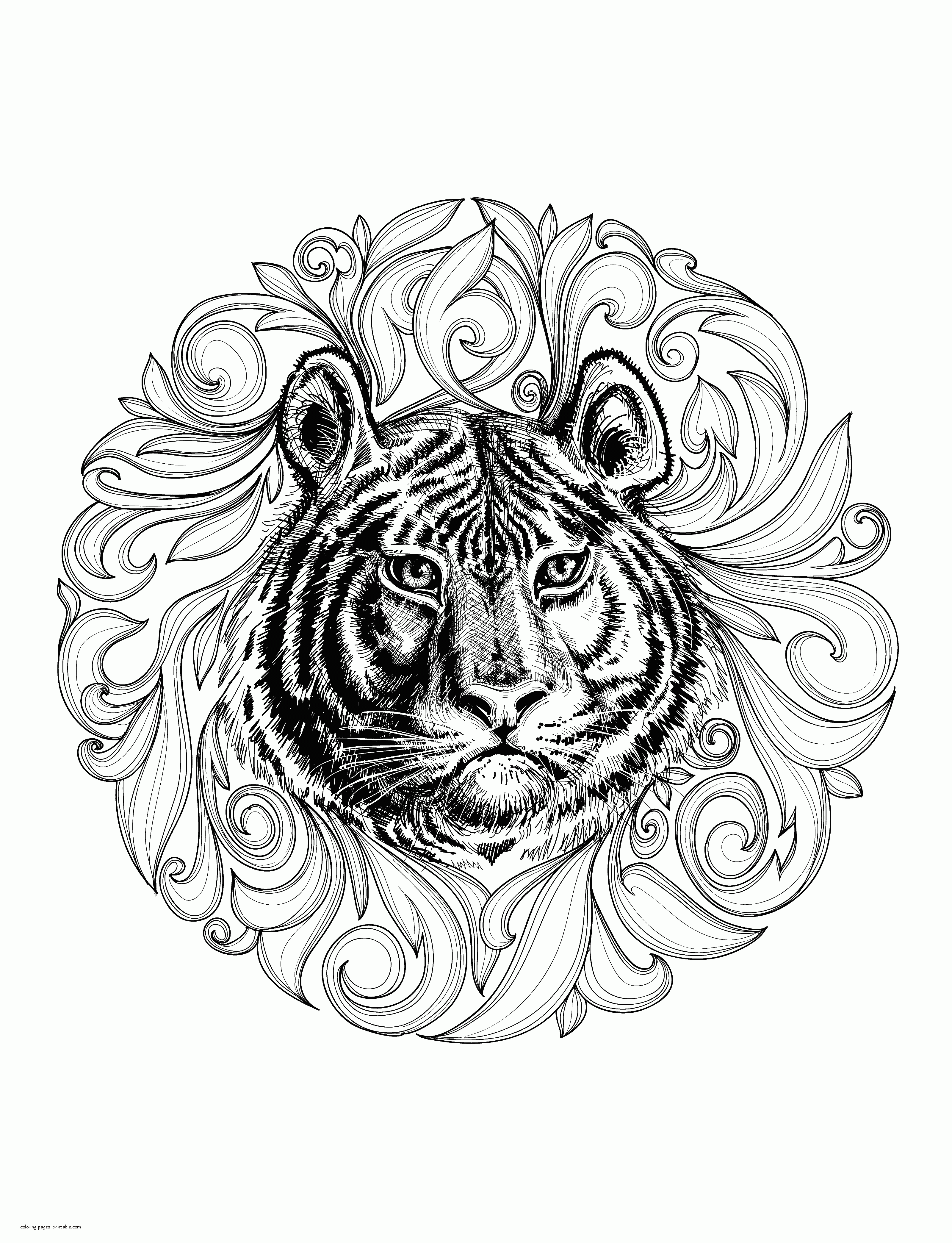 Animal coloring pages for adults realistic tiger coloring