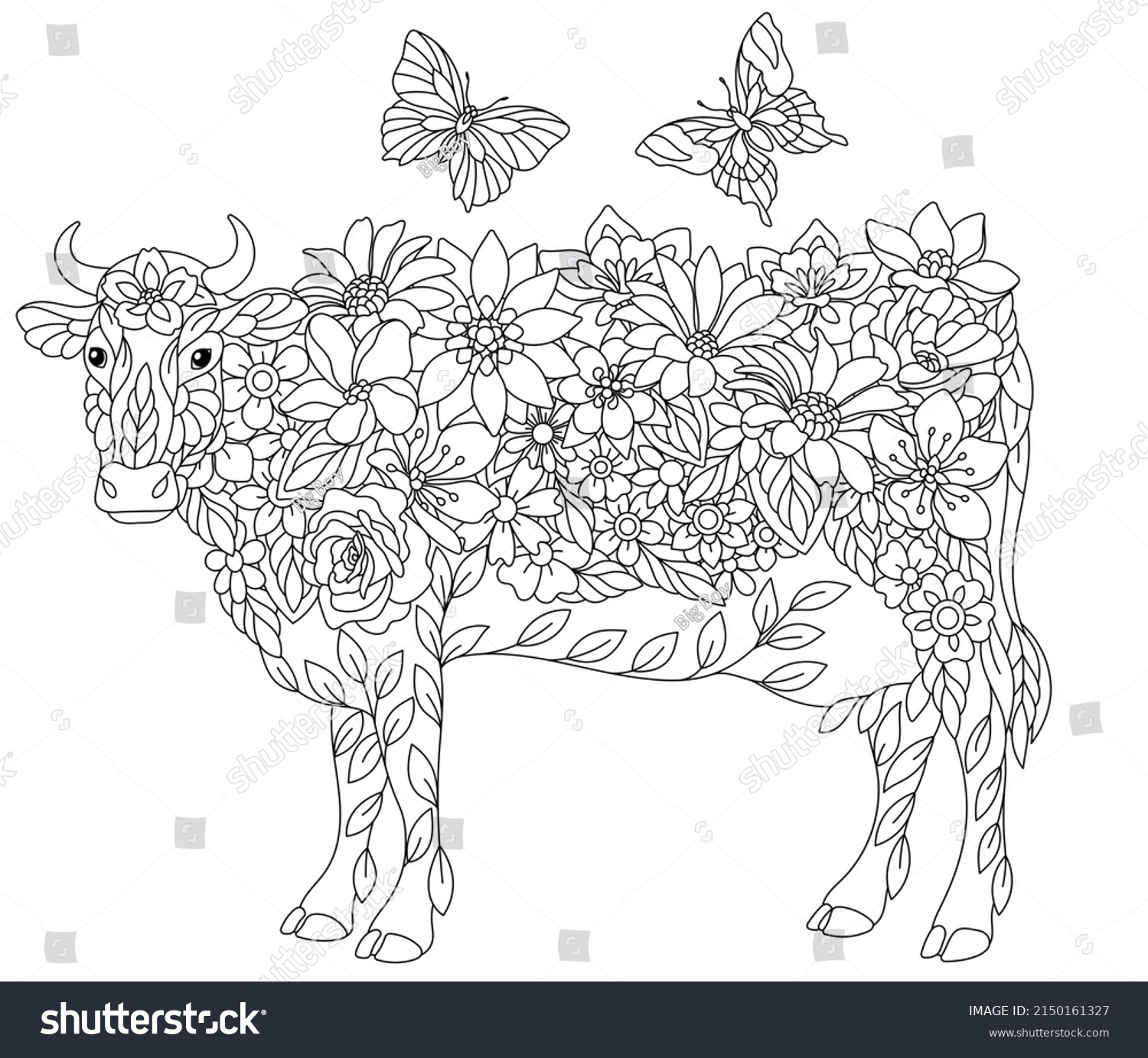 Adult coloring pages cows images stock photos d objects vectors