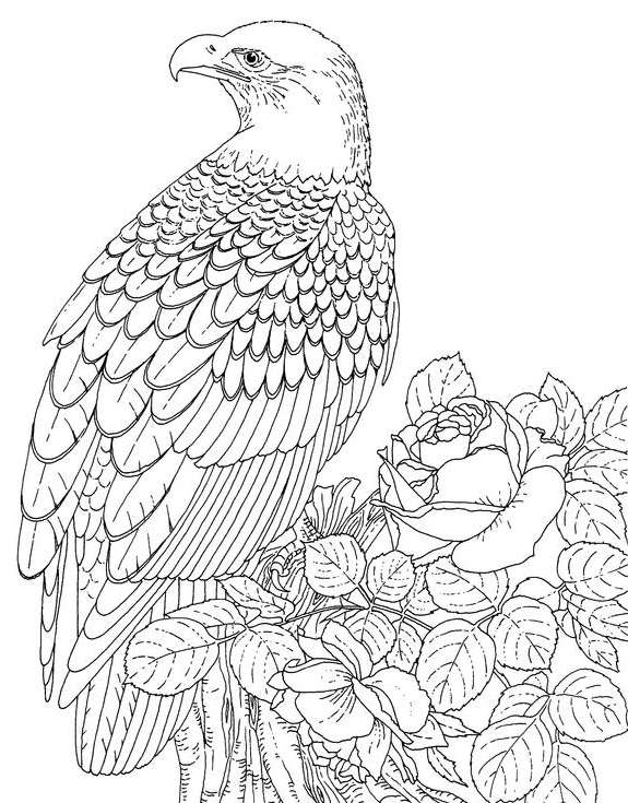 Realistic animal coloring pages printable for free download