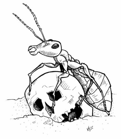 Giant ant coloring page free printable coloring pages