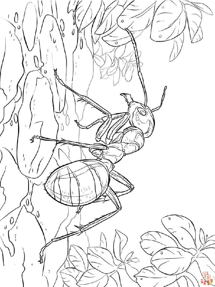 Ants coloring pages