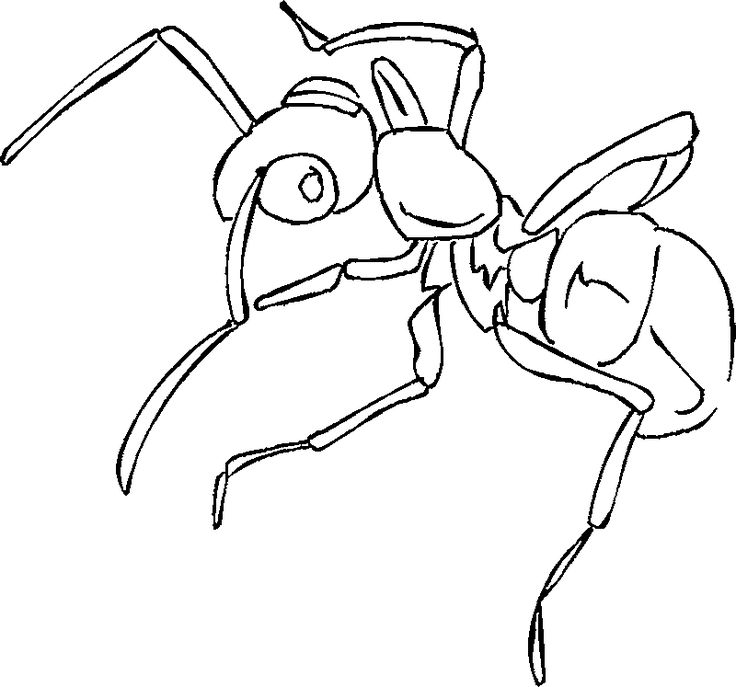 Free printable ant coloring pages for kids coloring pages animal coloring pages dragon coloring page