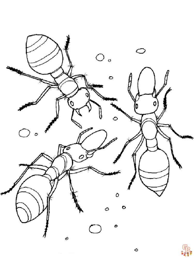 Ants coloring pages