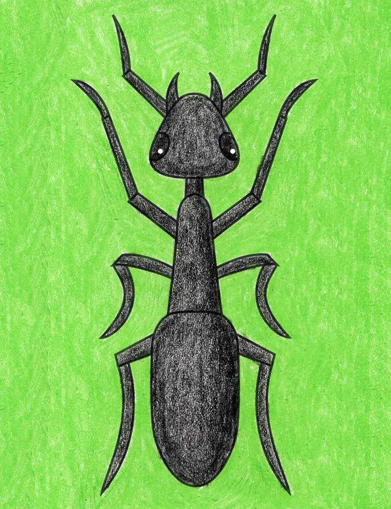 Easy how to draw an ant tutorial and ant coloring page