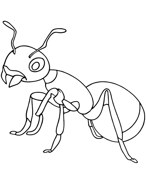 Realistic ant coloring page