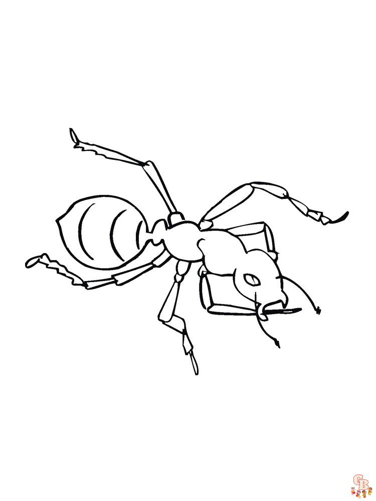 Ants coloring pages