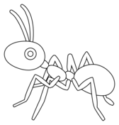 Ants coloring pages free coloring pages