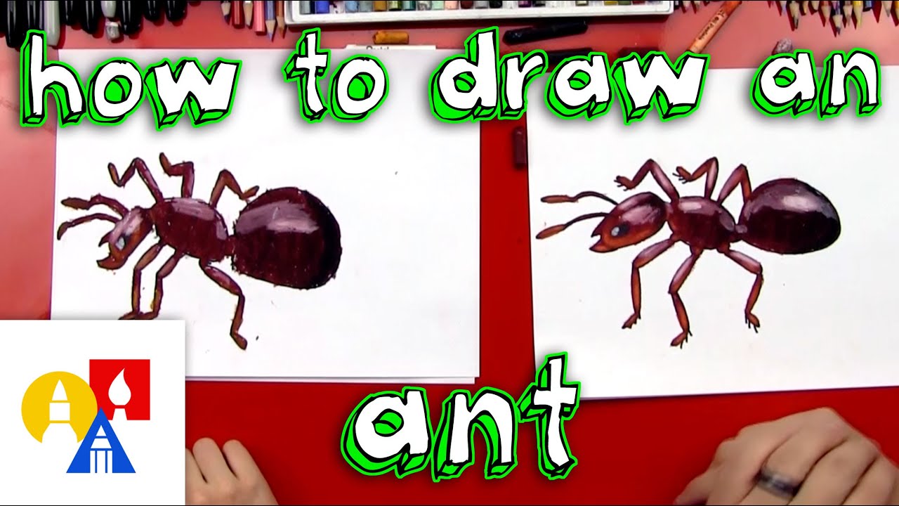 How to draw an ant