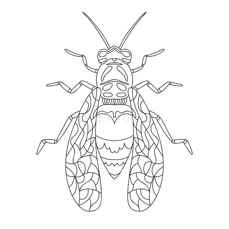 Ant colouring drawing stock illustrations â ant colouring drawing stock illustrations vectors clipart