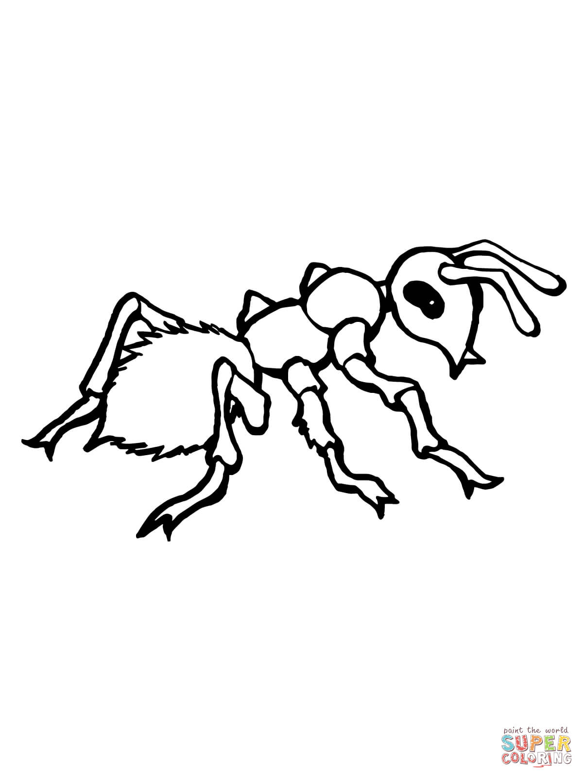 Realistic ant coloring page free printable coloring pages