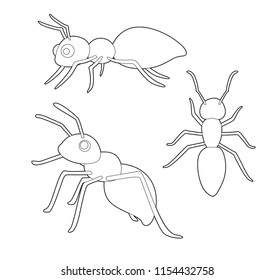 Ant coloring images stock photos d objects vectors