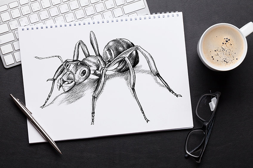 How to draw an ant â ant drawing step