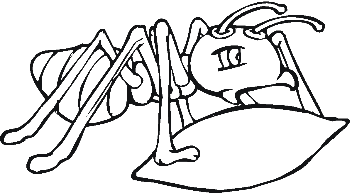 Free printable ant coloring pages for kids