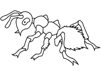 Ants coloring pages and printable activities